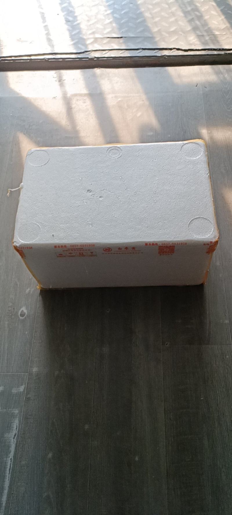 白参菌雪莲菌新鲜蘑菇云南特产食用菌口感清香