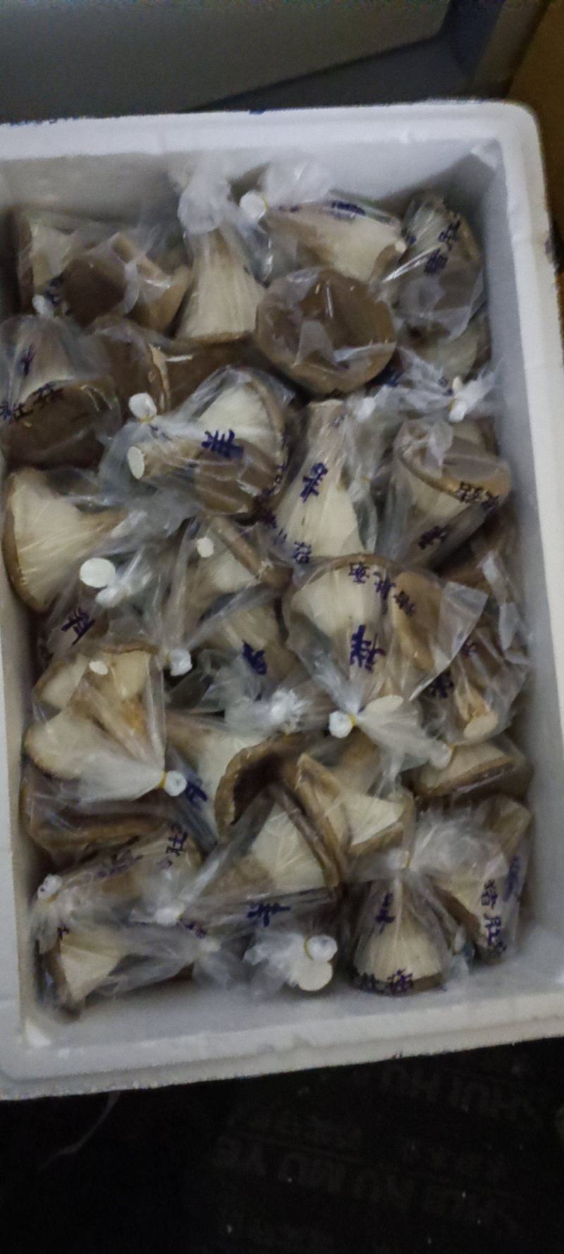 【现货】猪肚菌食用蘑菇大伞菌漏斗菌当季时令蔬菜