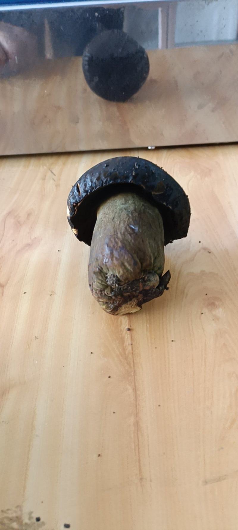 [精选牛肝菌]规格统一，新鲜采摘价格优惠，欢迎咨询。
