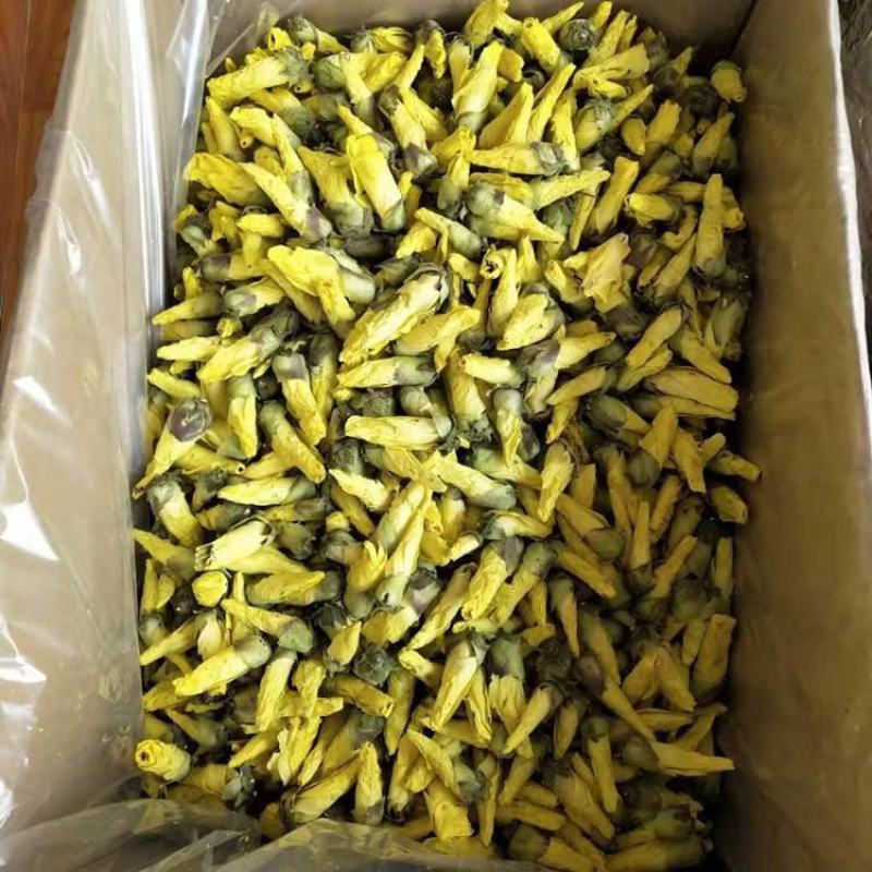 黄秋葵花黄蜀秋葵花金花葵茶大量供应一件代发