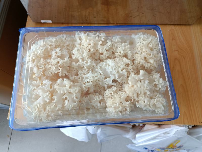 新鲜绣球菌绣球菇食用菌菇凉拌煲汤火锅酒店食材