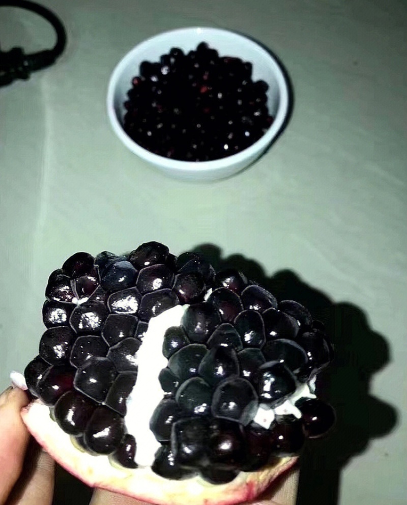 鸽血石榴苗石榴苗根系发达丰产性好现挖现发