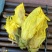 黄秋葵花黄蜀秋葵花金花葵茶大量供应一件代发