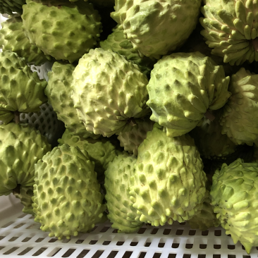 牛奶凤梨释迦果当季新鲜释迦摩尼果整箱批发支持一件代发