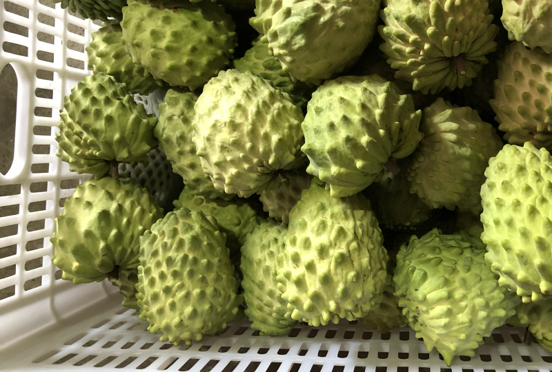 牛奶凤梨释迦果当季新鲜释迦摩尼果整箱批发支持一件代发