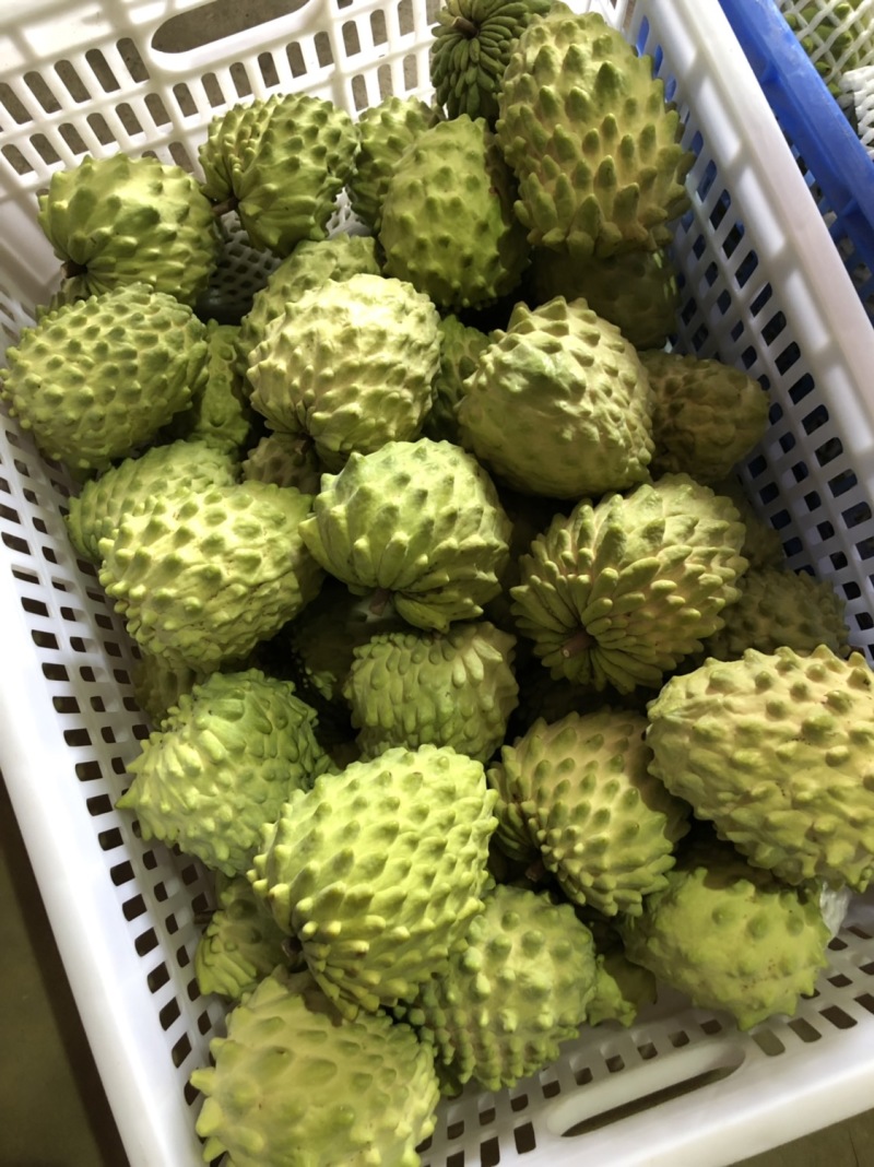 牛奶凤梨释迦果当季新鲜释迦摩尼果整箱批发支持一件代发