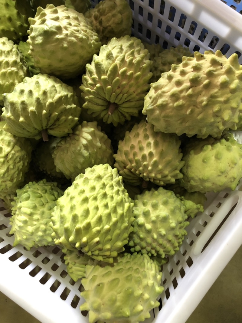 牛奶凤梨释迦果当季新鲜释迦摩尼果整箱批发支持一件代发