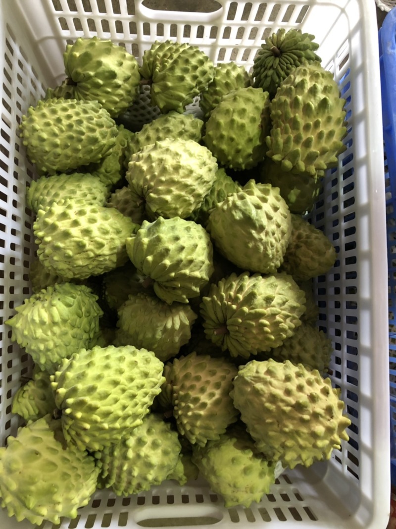 牛奶凤梨释迦果当季新鲜释迦摩尼果整箱批发支持一件代发
