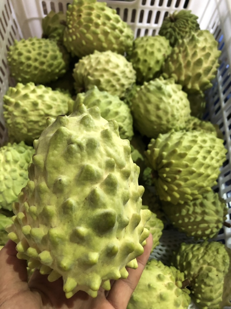 牛奶凤梨释迦果当季新鲜释迦摩尼果整箱批发支持一件代发