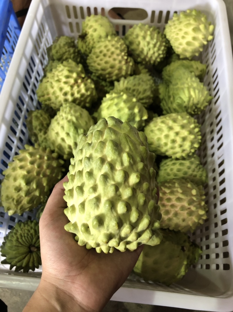 牛奶凤梨释迦果当季新鲜释迦摩尼果整箱批发支持一件代发