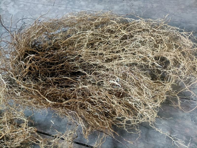 野生牛尾菜根水洗