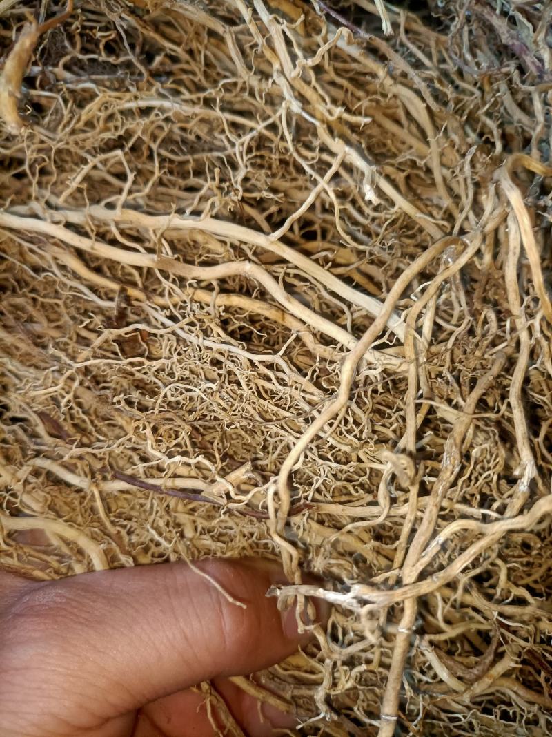 野生牛尾菜根水洗