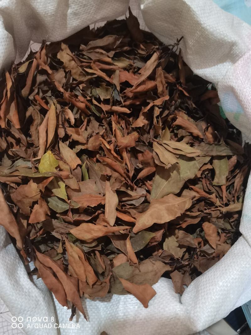 莽草干叶子