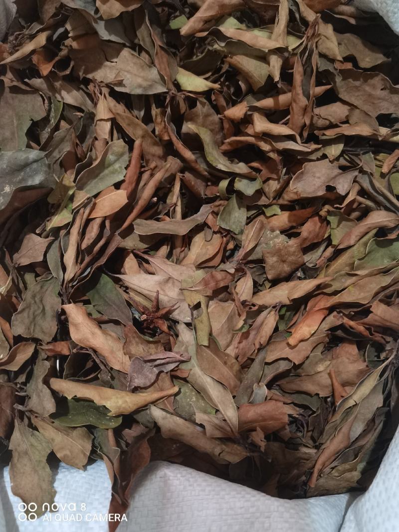 莽草干叶子
