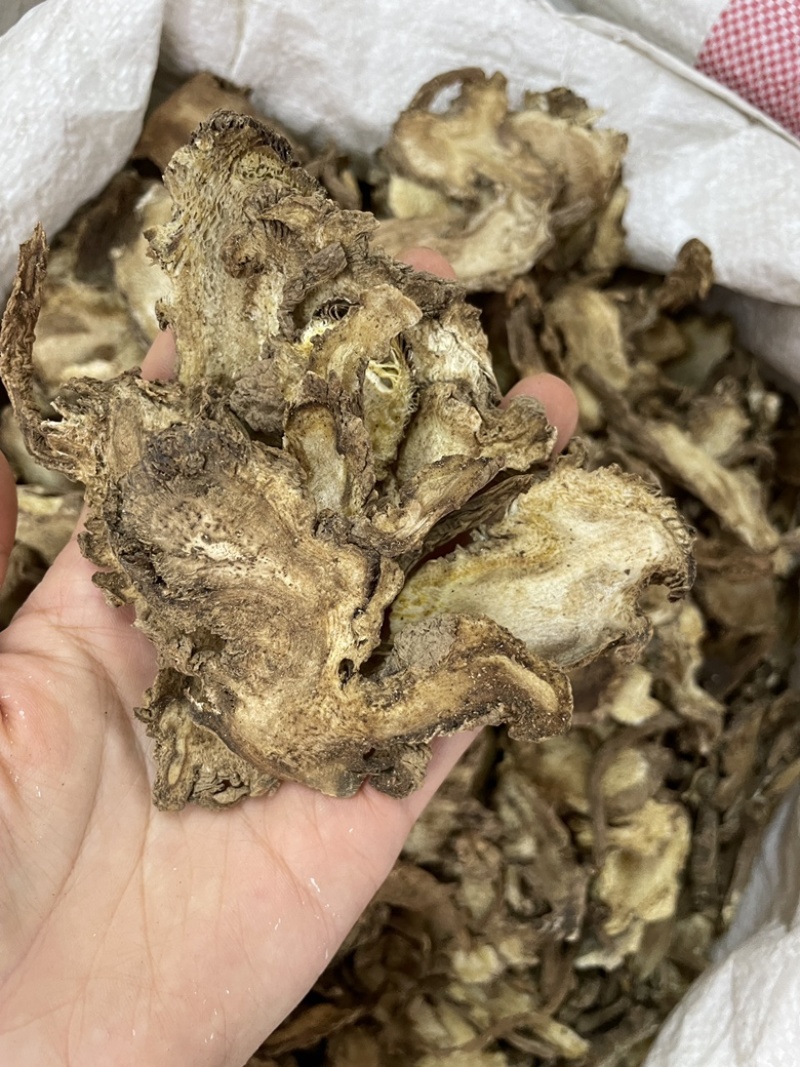 独活、香独活、肉独活、川独活、资丘独活