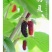 白玉王桑葚苗桑葚苗根系发达丰产性好现挖现发