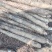 广西精品淮山，本地白鬼山药，。大量上市中，欢迎你的咨询