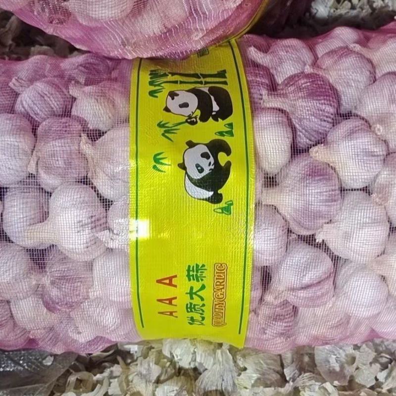 冷库大蒜。欢迎采购