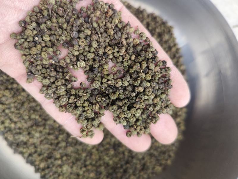 江西，高含量江西中花吴茱萸，保质保量，量大从优，全国发货