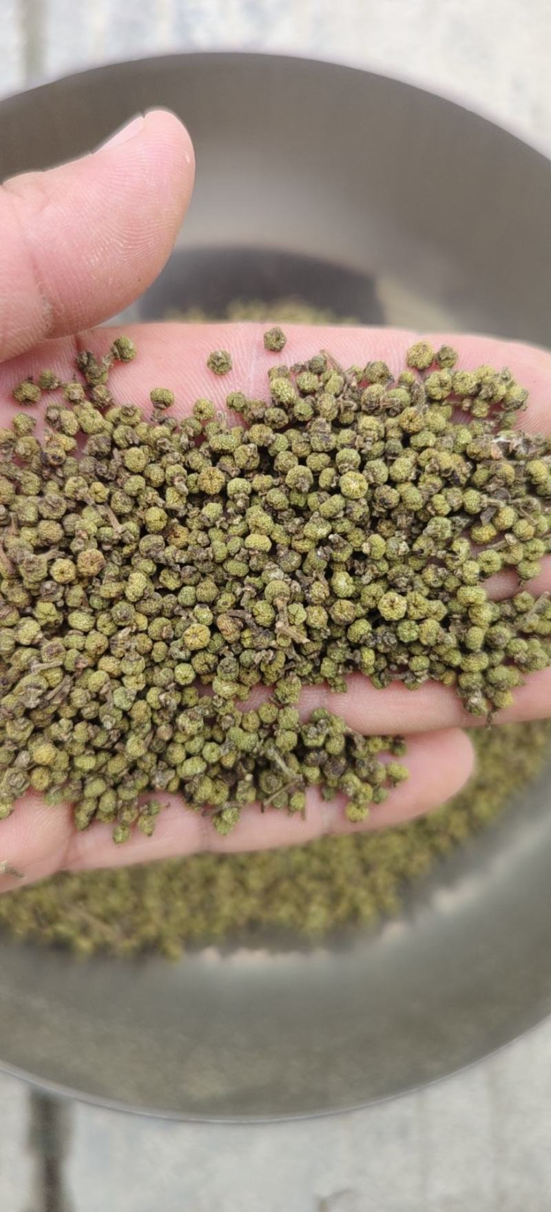 江西，高含量江西中花吴茱萸，保质保量，量大从优，全国发货