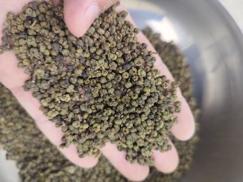 江西，高含量江西中花吴茱萸，保质保量，量大从优，全国发货