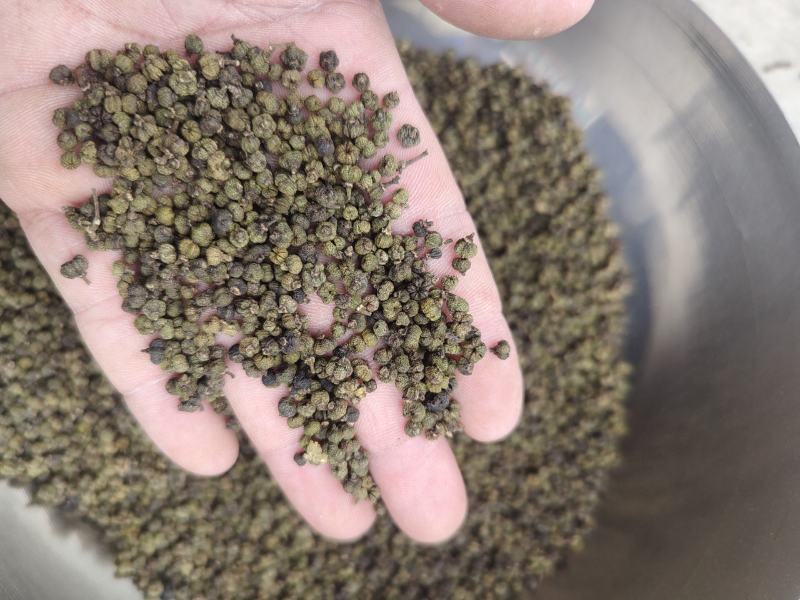 江西，高含量江西中花吴茱萸，保质保量，量大从优，全国发货