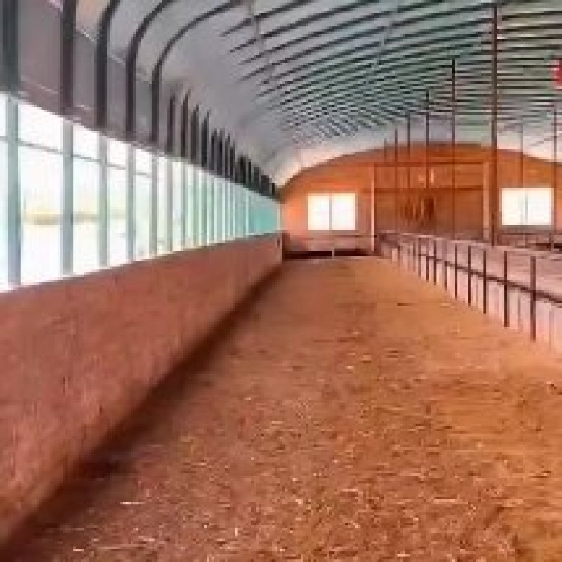 厂家直销椭圆管养殖大棚规格齐坚固耐用抗风抗价格实惠包安装