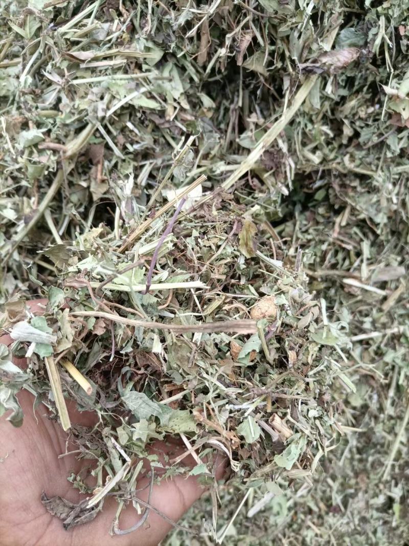25年花生秧河南驻马店花生秧牛羊驴饲料全国供应质量保
