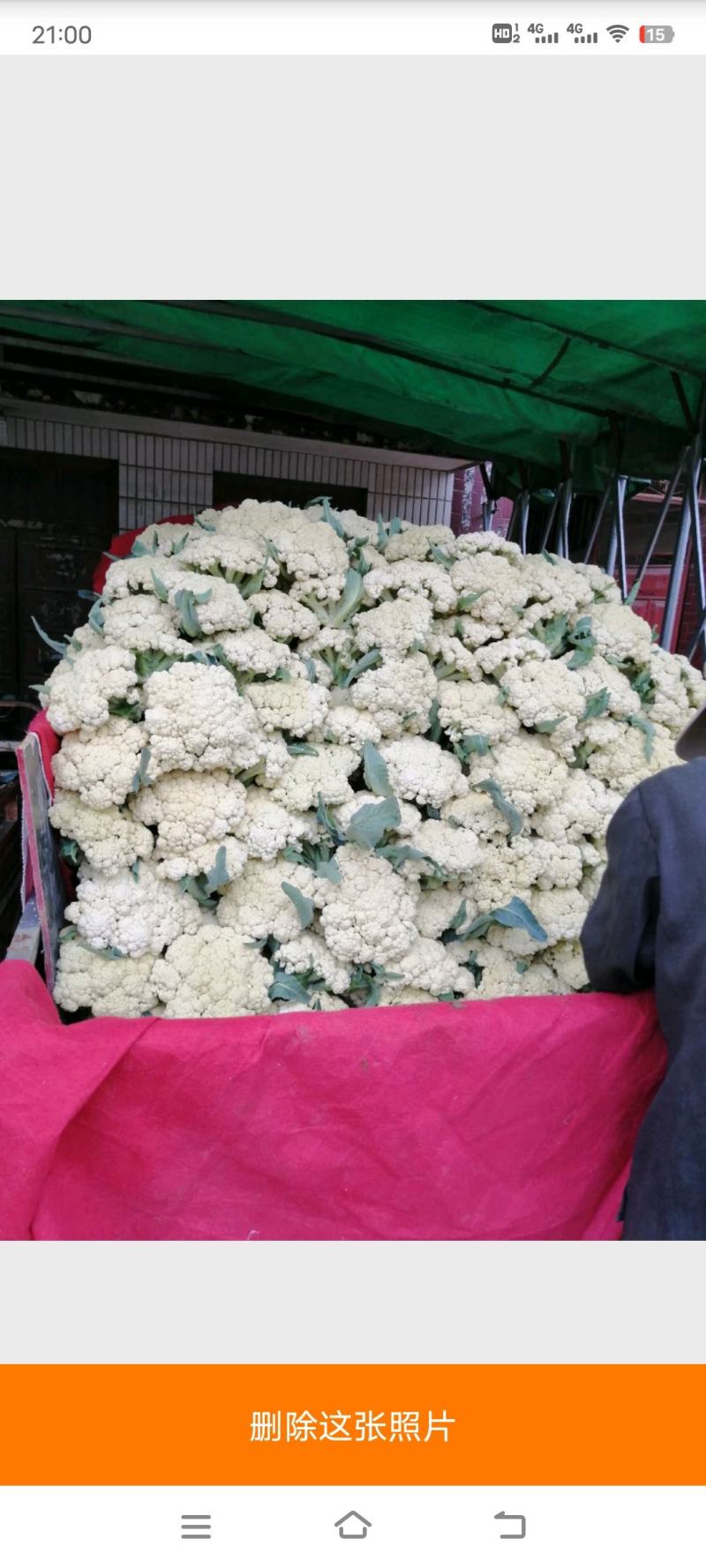 有机花菜产地直供，真实报价，大量供应，货源充足，随到随装