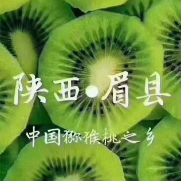 陕西猕猴桃