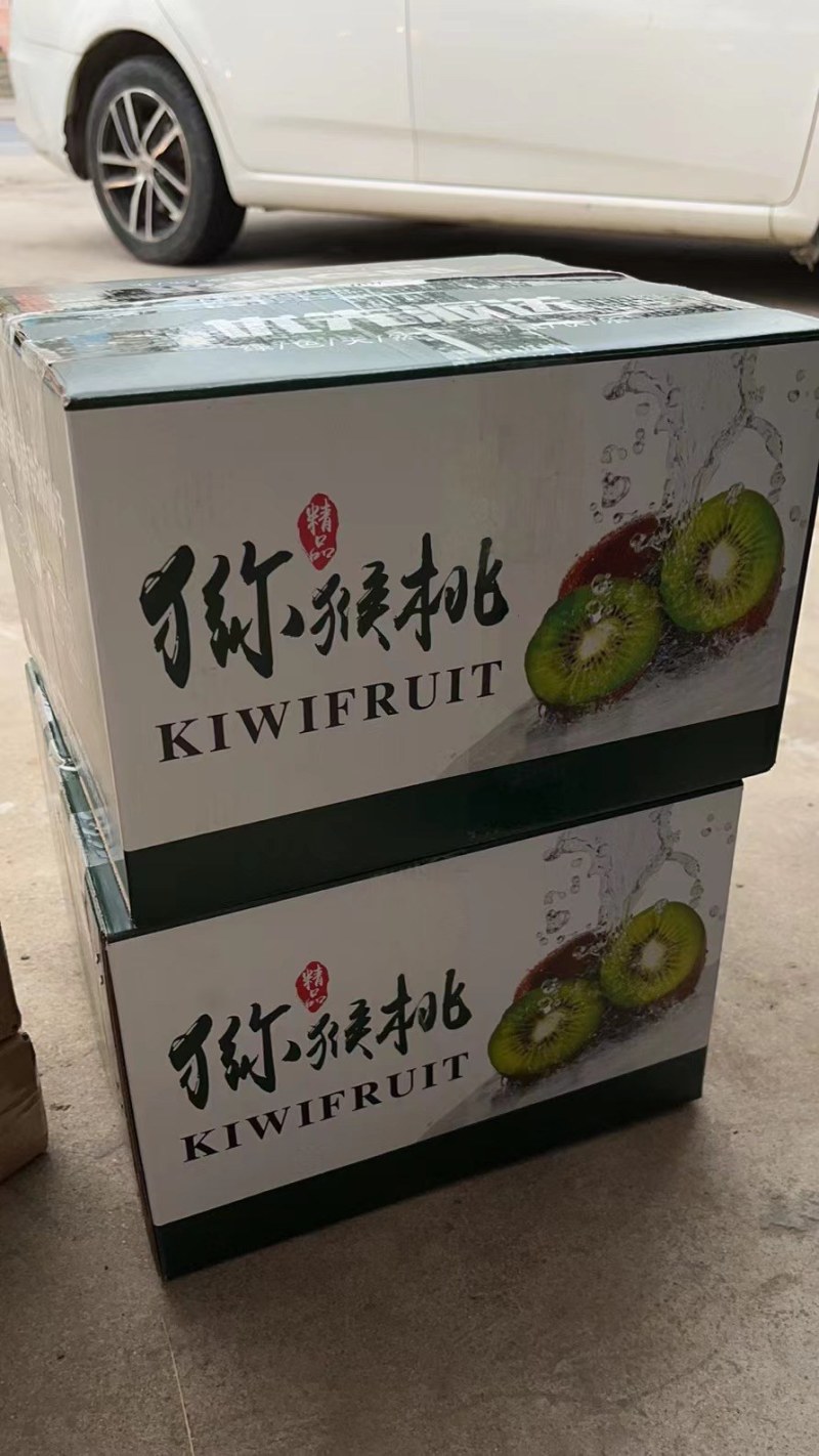 陕西猕猴桃