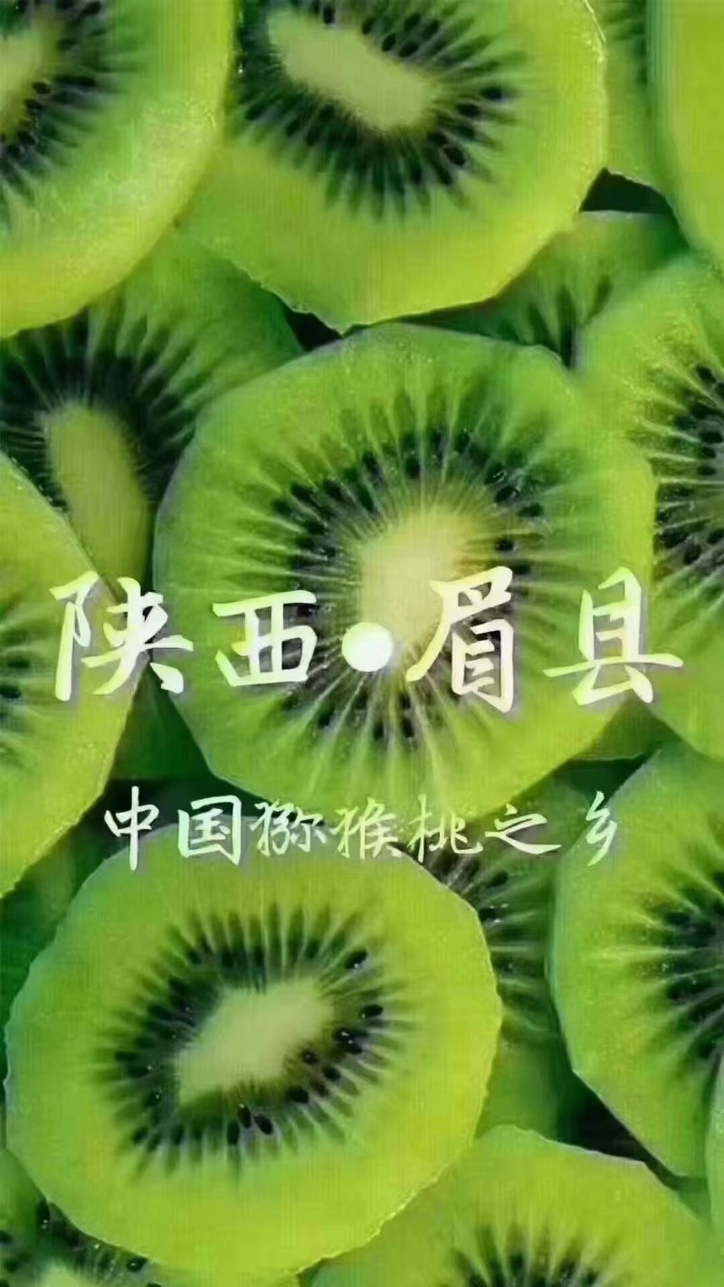 陕西猕猴桃