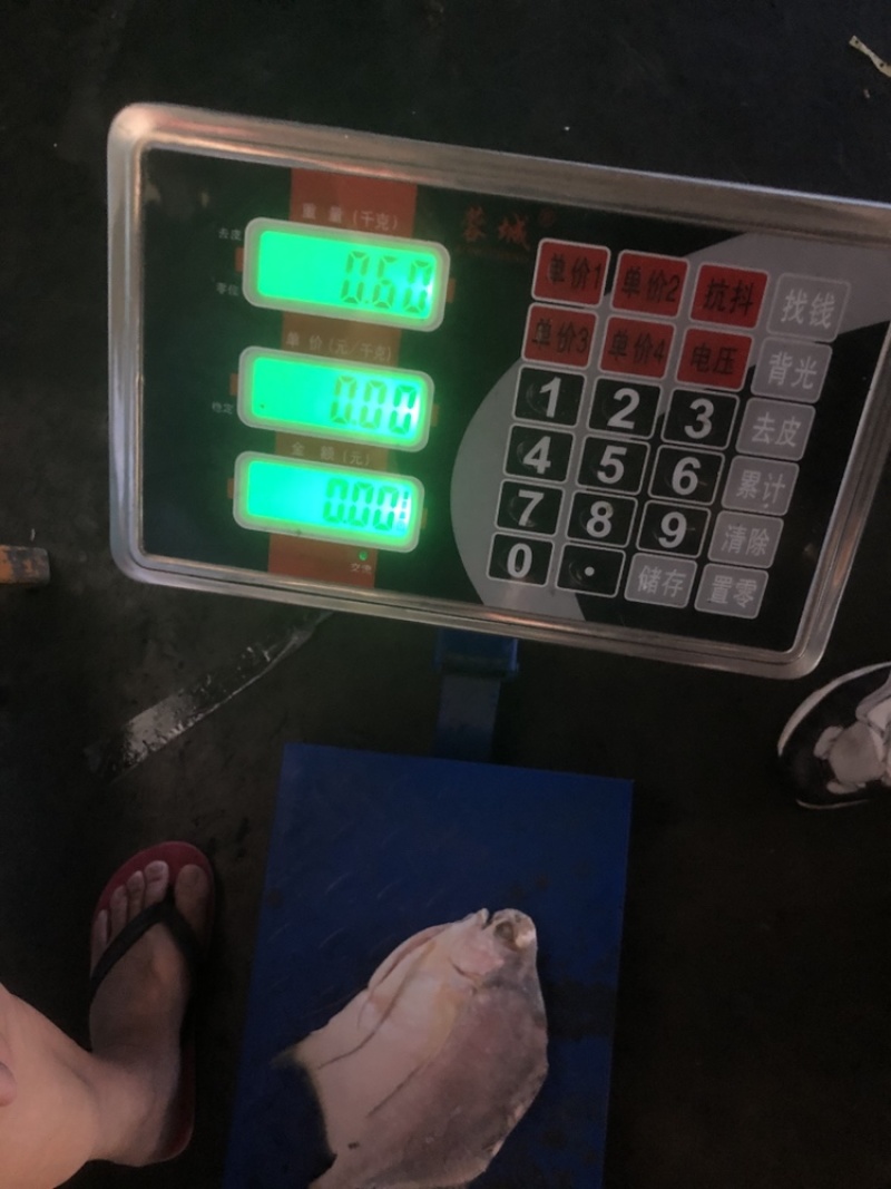 角鲳鱼鲳鱼批发便宜鲳鱼角鲳批发海水鲳鱼角鲳