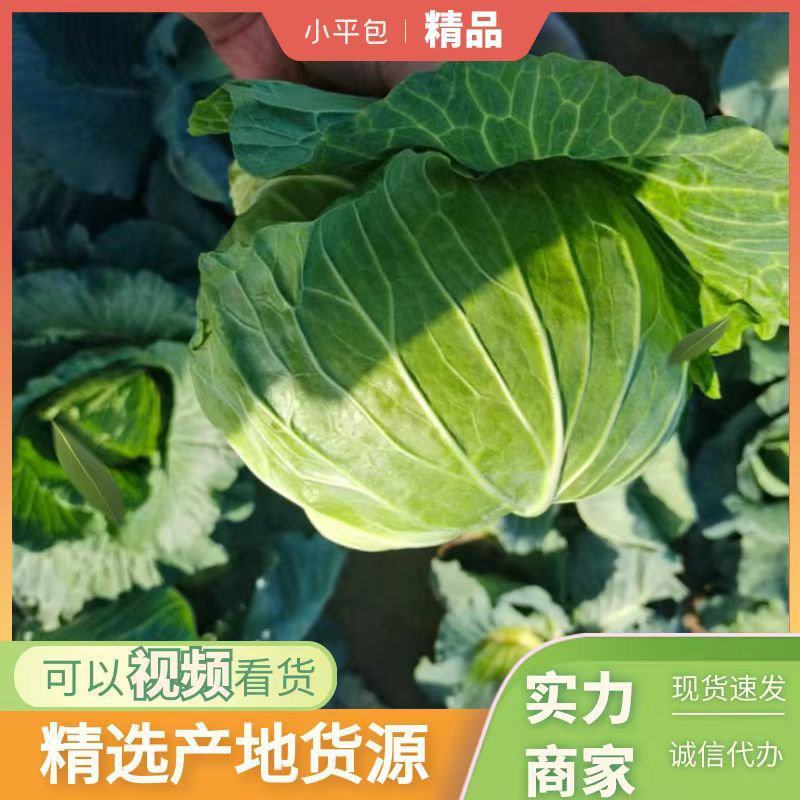 墨玉小平包平均二斤左右商场产地一手货源产地直发货源充足