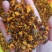 雪菊花茶新疆昆仑山雪菊天山雪菊量大从优一件代发