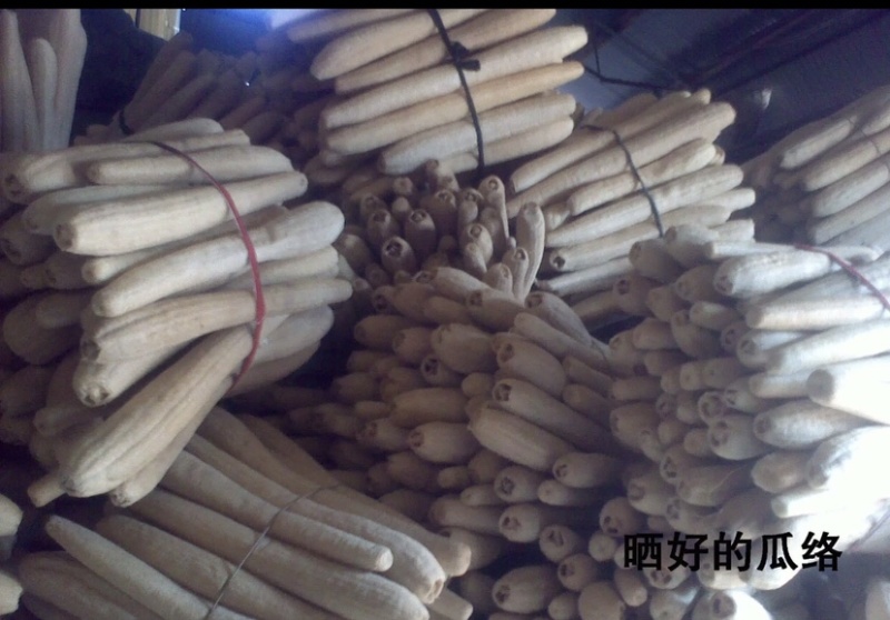 丝瓜络上新货量大50量少55软瓜硬瓜都有50斤起批