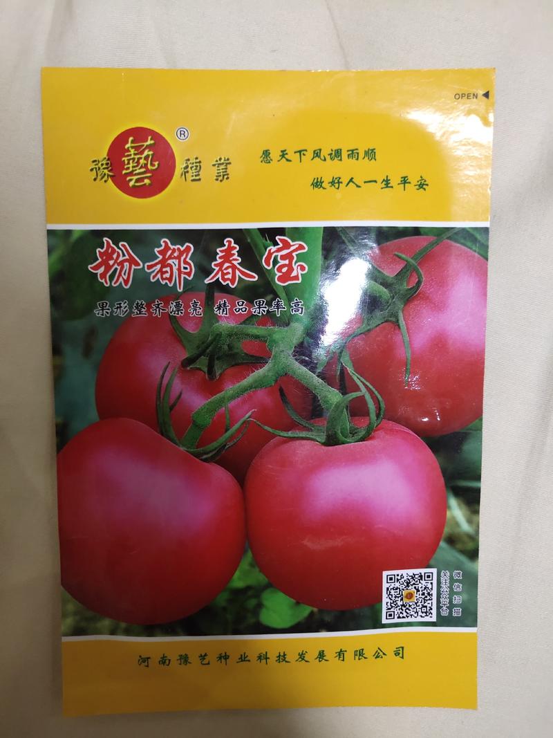 粉都春宝番茄种子果形，高硬度颜色和亮度都大果300克