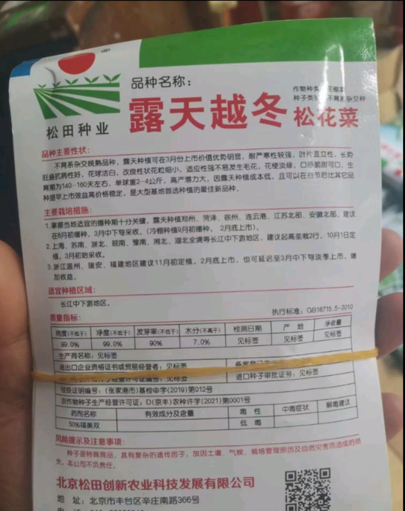露天越冬松花菜种子改良花粒细小抗病商品性好囗感好