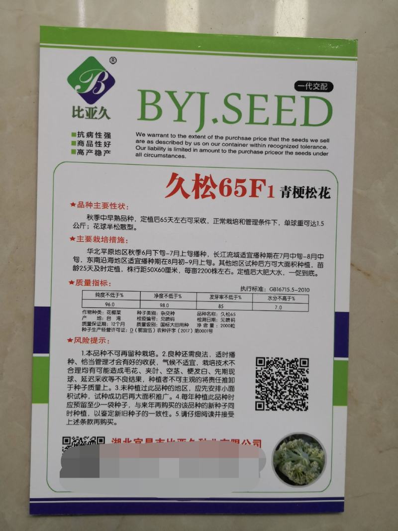 久松65F1花菜种子定植后65天可收单球重1.5公斤半松