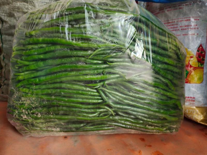黑线椒，陆续上市，质量很好，欢迎老板下单