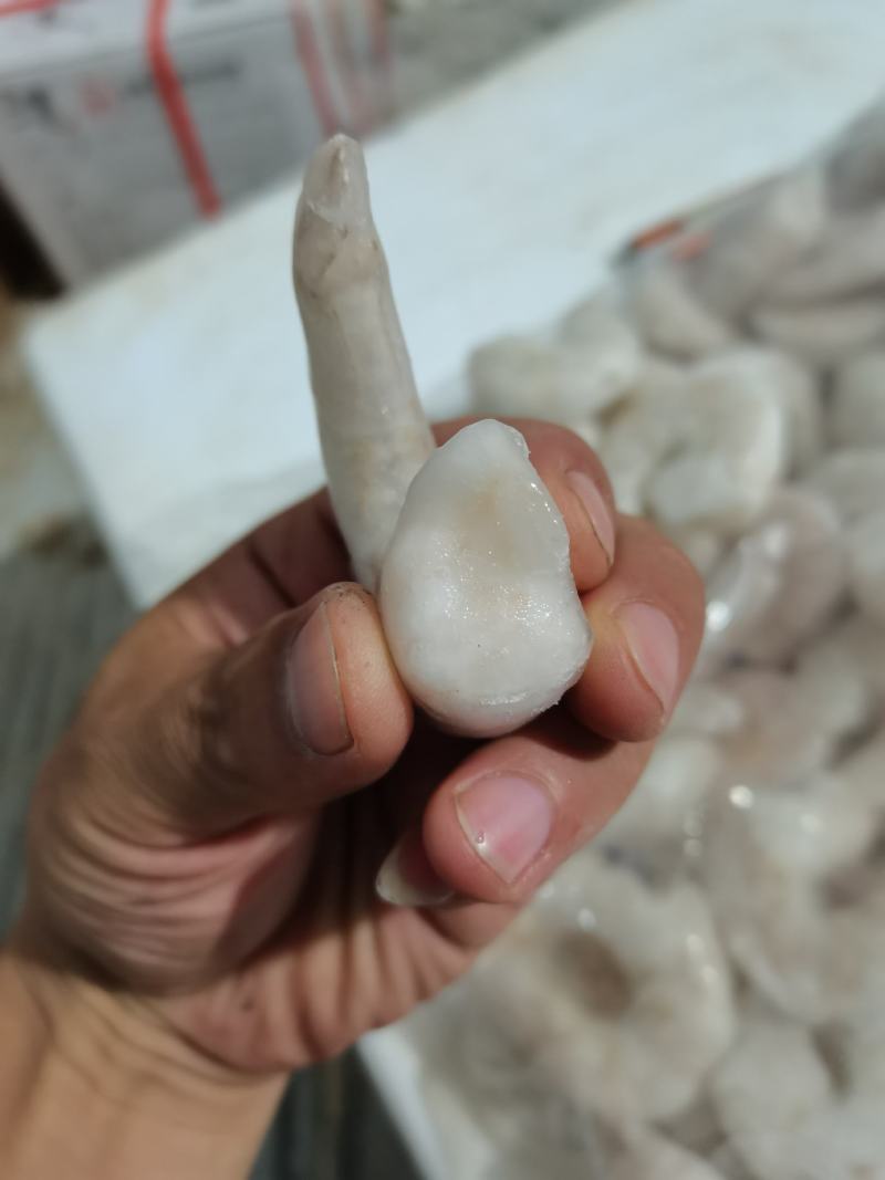 单冻开背虾仁2630规格4斤/袋