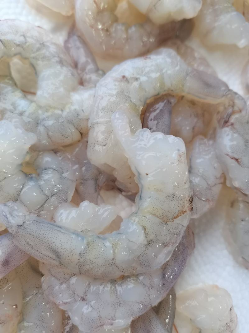 单冻开背虾仁2630规格4斤/袋