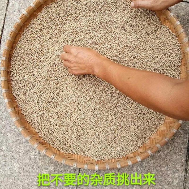 胡椒白海南胡椒白，辣味足，香味浓郁，喜欢您就下单