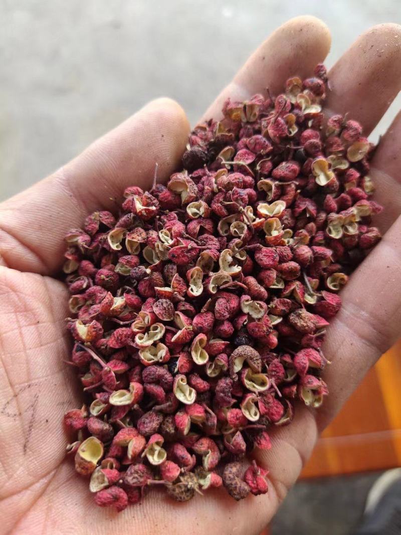 大红袍花椒，干花椒，本品种又名八月炸，味道又香又麻。