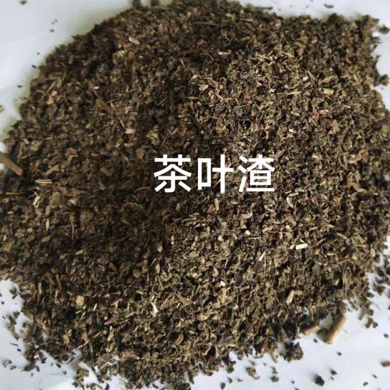 饲料茶叶渣厂家货源量大价优牛羊鸡鸭饲料补充营养茶渣