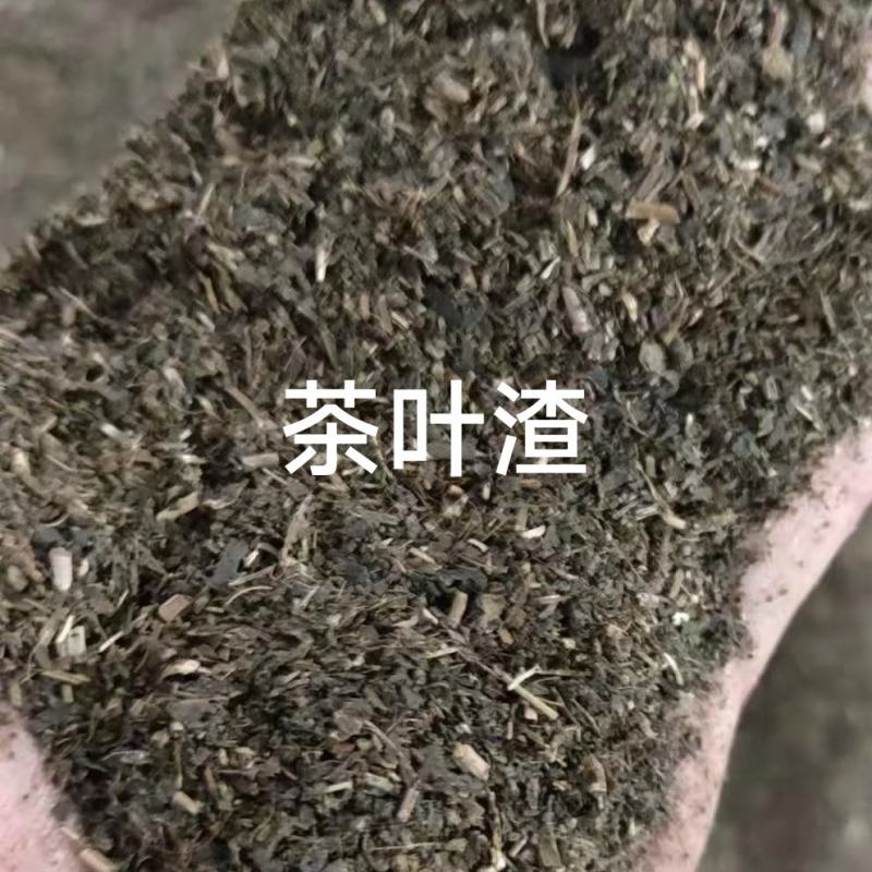 饲料茶叶渣厂家货源量大价优牛羊鸡鸭饲料补充营养茶渣