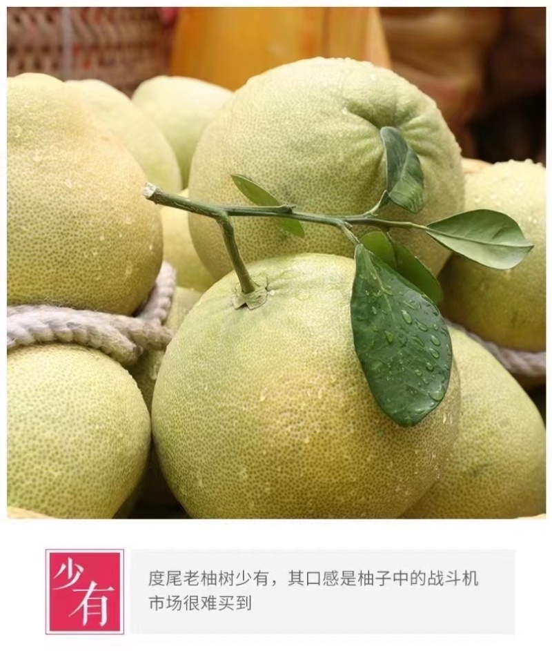 度尾红心文旦柚皮薄肉厚