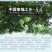 度尾红心文旦柚皮薄肉厚
