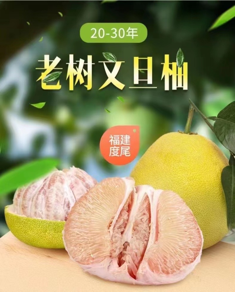 度尾红心文旦柚皮薄肉厚