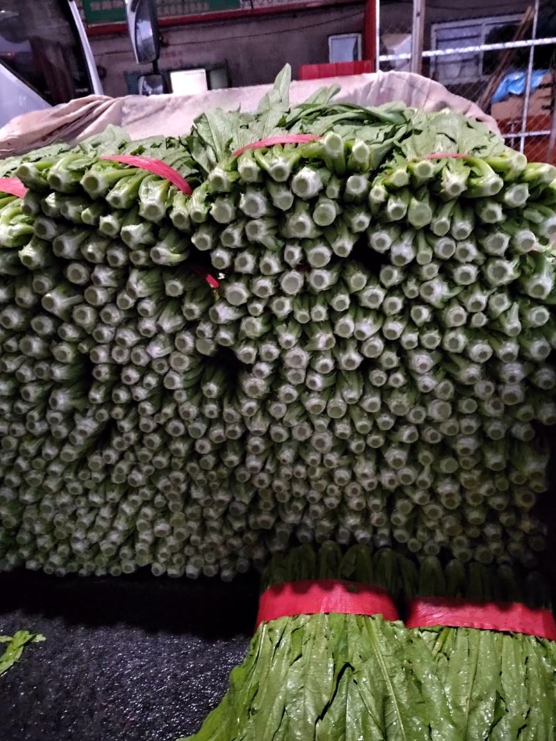 精品油麦，大量有货，产地直发，一手货源，长期合作